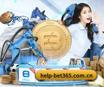 业务扩张 - 注册用户突破500万,与多家国际顶级内容供应商建立战略合作。